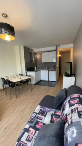 GRAND STUDIO proche du centre ville